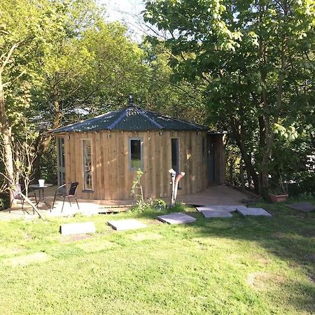 The Roundhouse - Unique Space Nestled In The Trees Begelly المظهر الخارجي الصورة